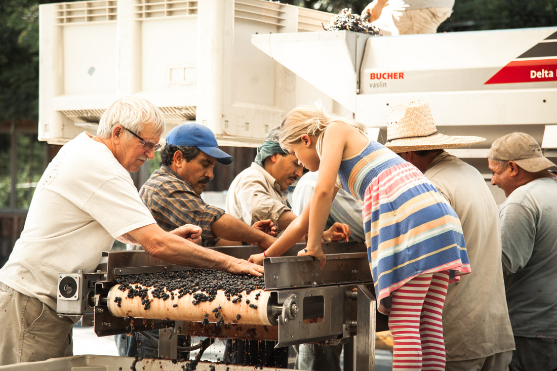 Sorting Grapes